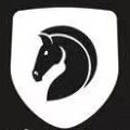 yellow视频免费