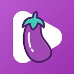 小红帽live直播手机版免费下载